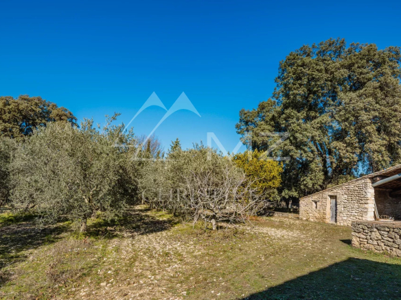 Ancienne ferme du XIXe siècle à rénover, entourée d'oliviers, avec ciel bleu à Gordes.