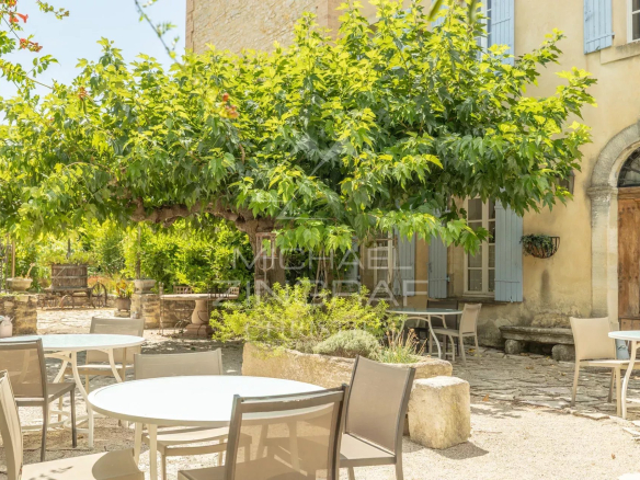 Terrasse avec tables et chaises sous un grand arbre dans un domaine provençal.