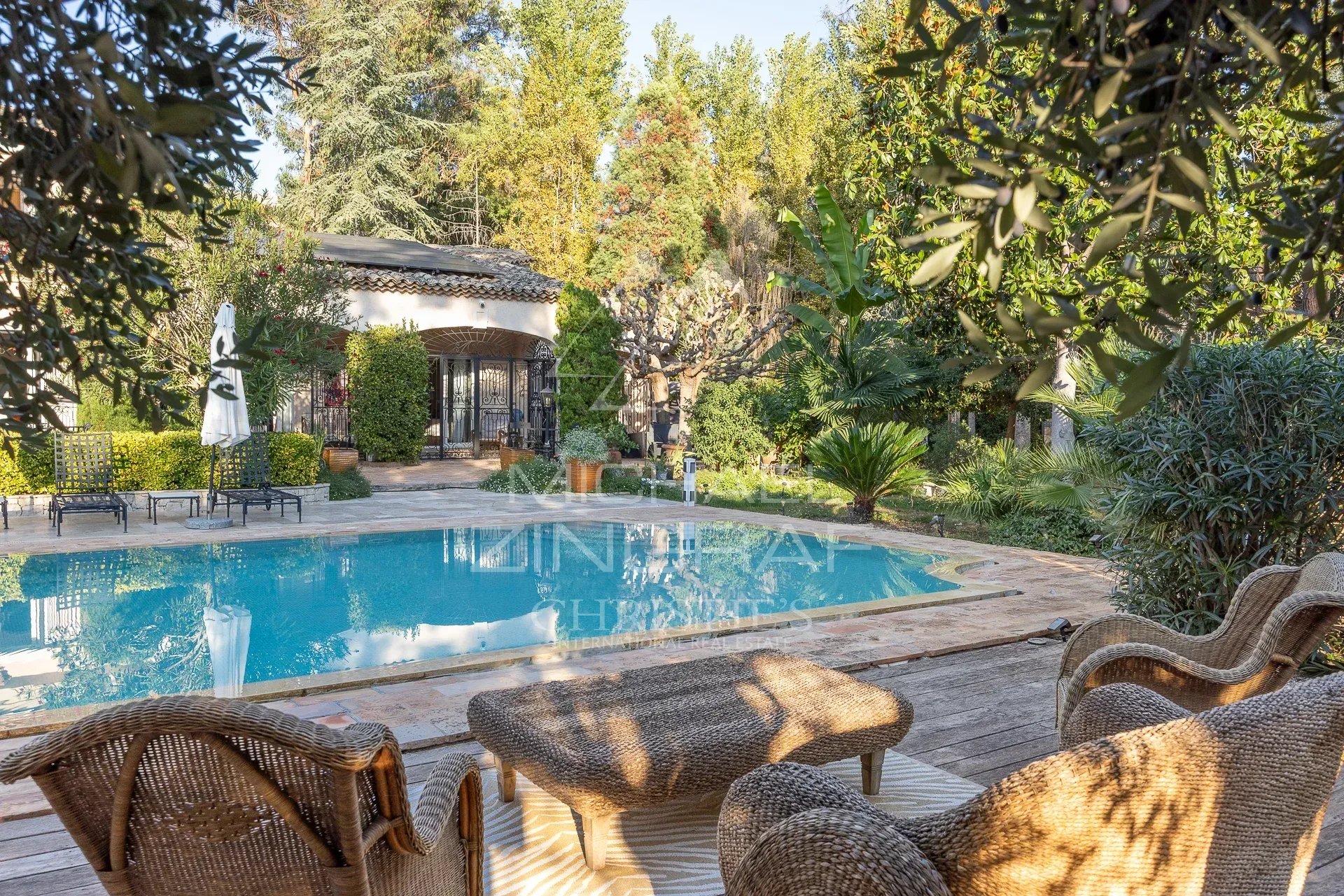 Propriété avec piscine et espace extérieur à Saint-Paul-de-Vence, entourée de verdure.