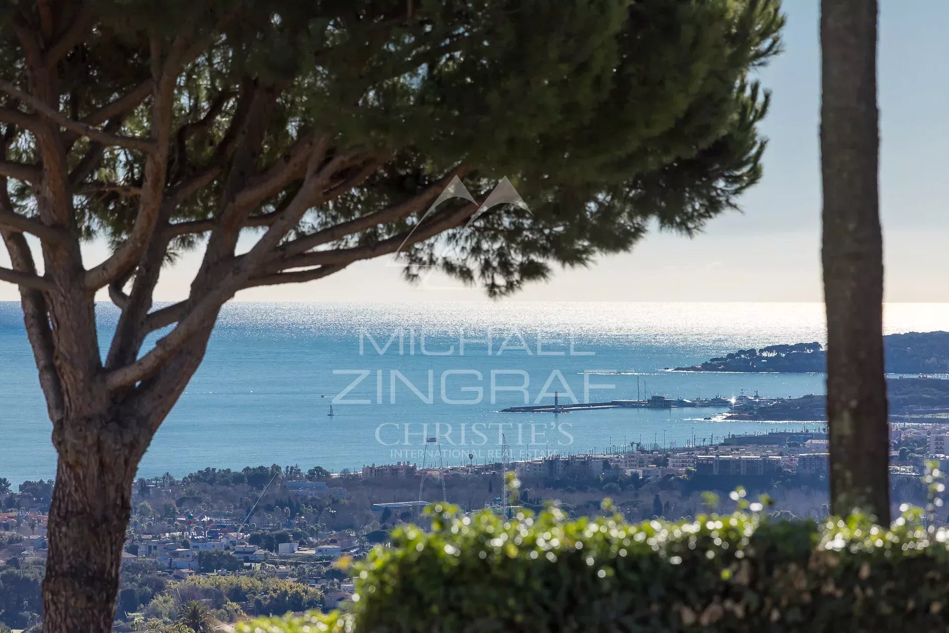 d9f47ec91b1c0afbfb7f5815279f6ed6_1954051f78_1920-original