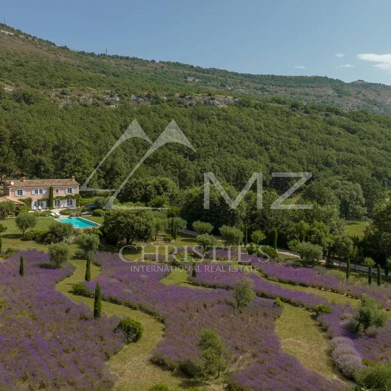 Luxury real estate photo | Charming Properties