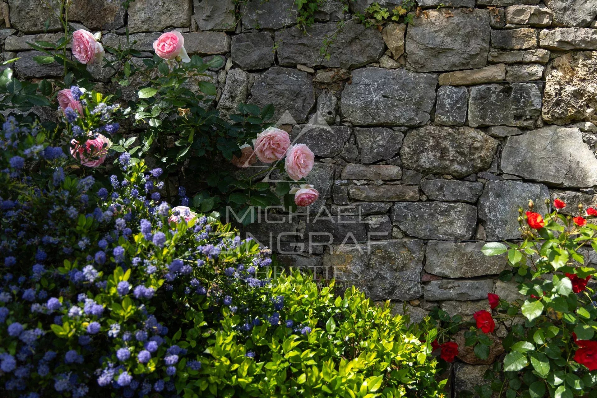 Fleurs colorées devant un mur en pierre dans un jardin provençal.