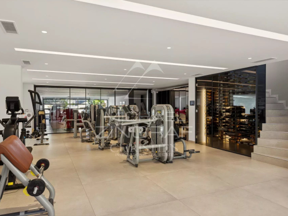 Modern gym with varied equipment in a contemporary villa.