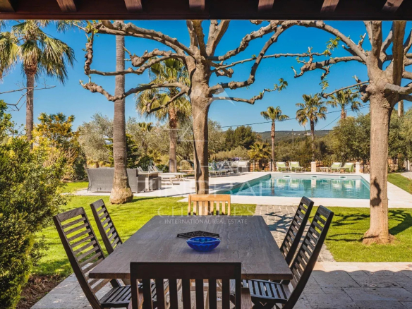 Terrasse avec table en bois et piscine entourée de palmiers dans un domaine provençal.