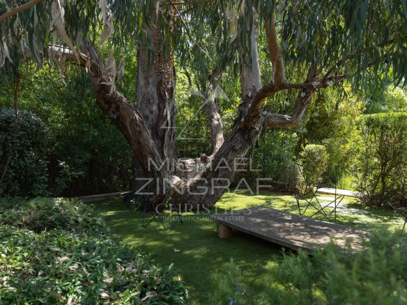 Garden of a Mediterranean villa with a large tree and a wooden terrace in Châteauneuf-Grasse.