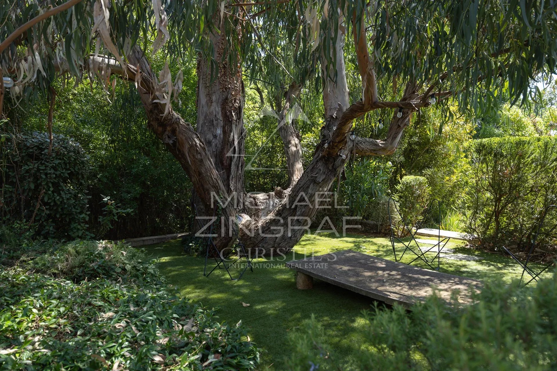 Garden of a Mediterranean villa with a large tree and a wooden terrace in Châteauneuf-Grasse.