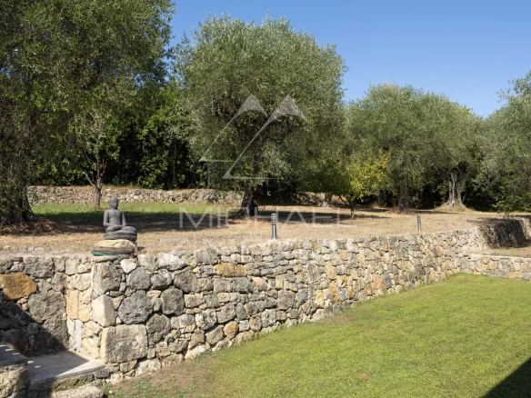 Jardin d'une villa avec oliveraie et mur en pierre à Grasse
