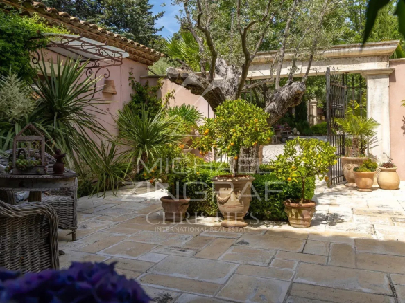 Garden of a charming estate in Draguignan with plants and a stone terrace.