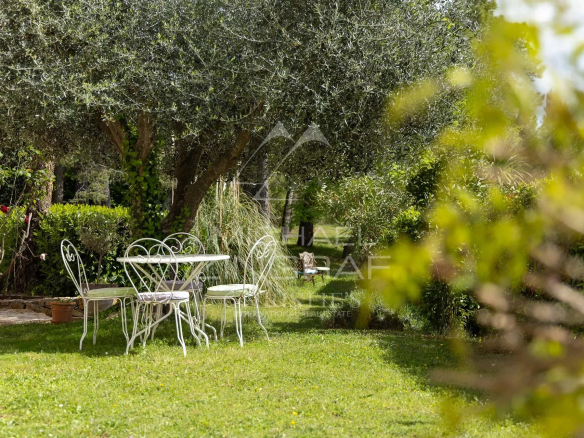 Tin table and chairs in a green garden with trees and plants.