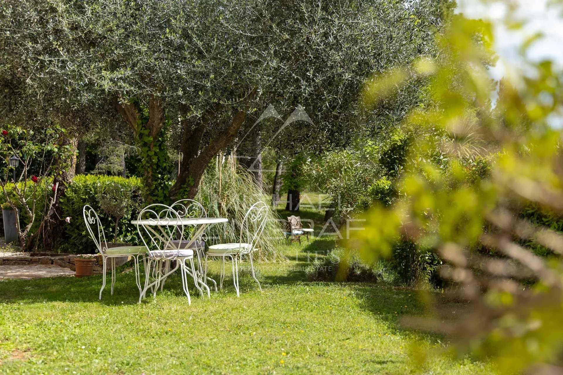 Tin table and chairs in a green garden with trees and plants.