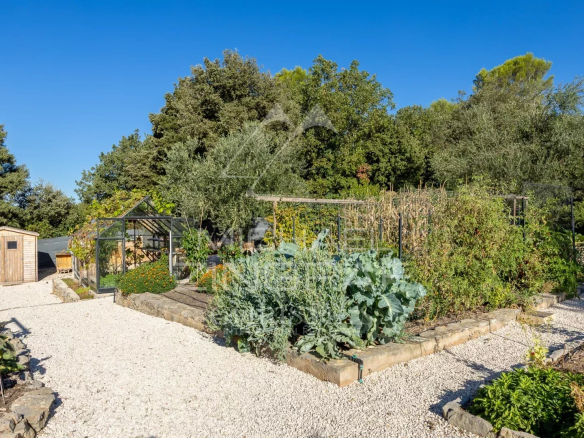 Jardin potager avec divers légumes et plantes, entouré de verdure, près de Besse-sur-Issole.