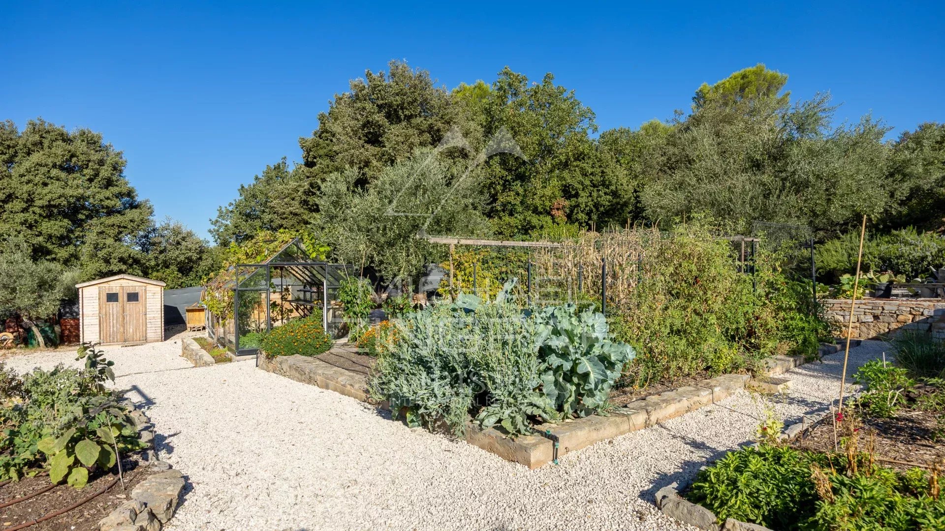 Jardin potager en Provence Jardin potager avec divers légumes et plantes, entouré de verdure, près de Besse-sur-Issole.