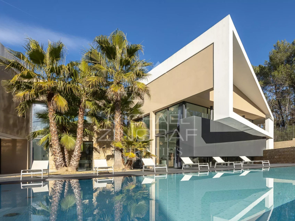Villa contemporaine avec piscine et palmiers à Fayence