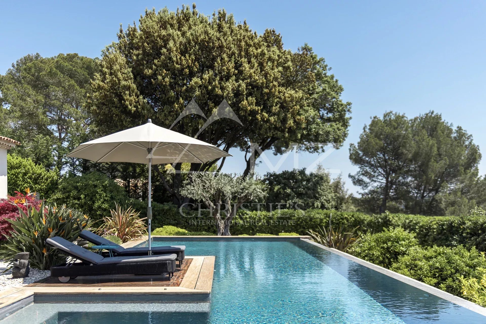Pool deck with two black lounge chairs under a large white parasol, surrounded by trees on a sunny day.