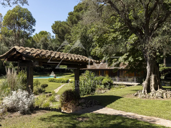 Demeure élégante avec parc paysager à Mougins, incluant une oliveraie et une piscine.