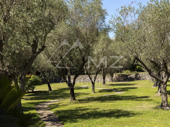 Parc paysager avec oliviers à Mougins, chemin sinueux dans un espace vert