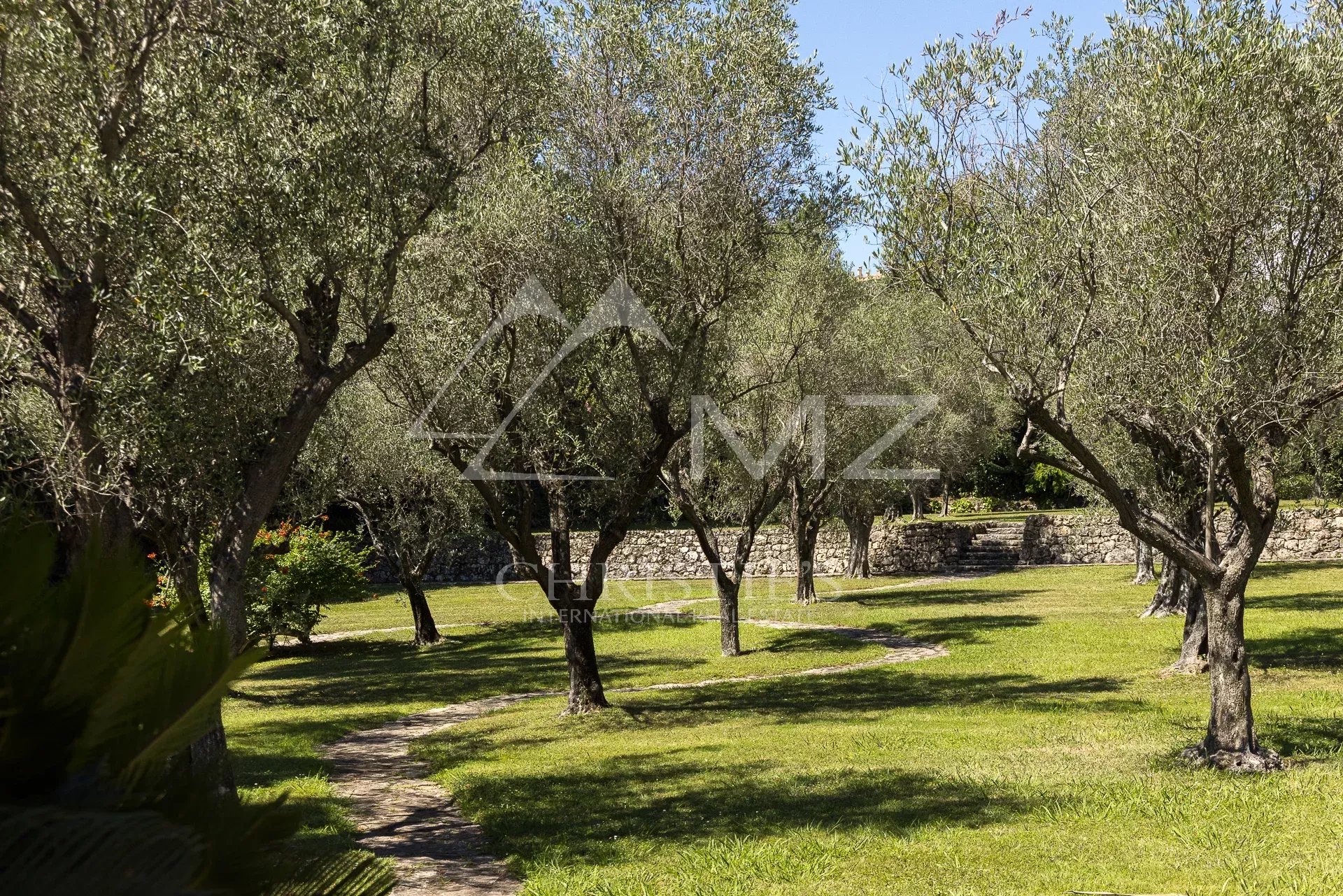 Parc paysager avec oliviers à Mougins, chemin sinueux dans un espace vert