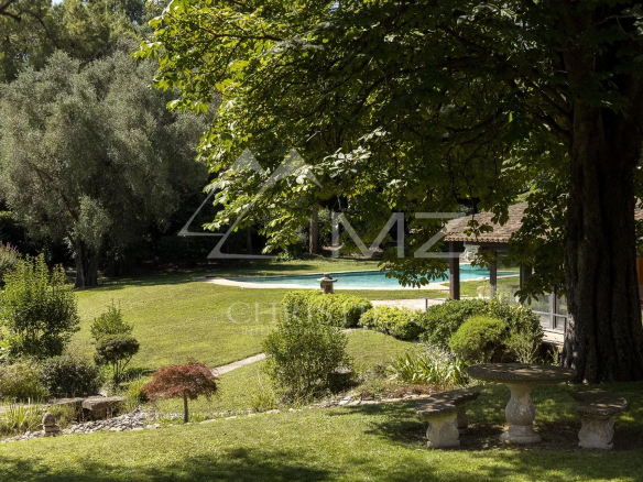 Vue du parc paysager avec piscine et oliveraie à Mougins