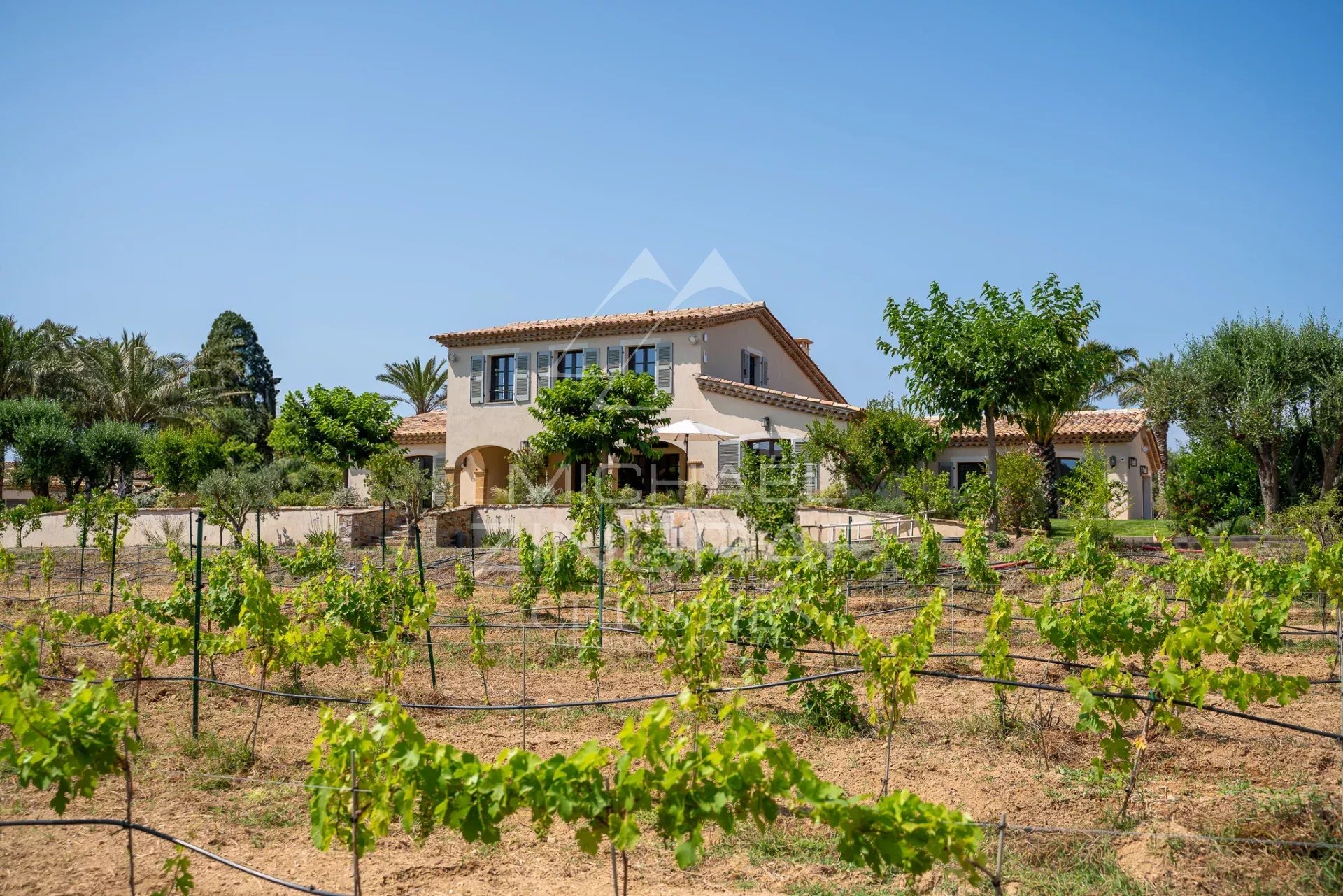 ba9d365abb99812f5b2542912ce47a85_8366bb6f63_1920-original