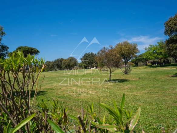 Sunny park with a wide grassy field, scattered trees, and a clear blue sky in the background.