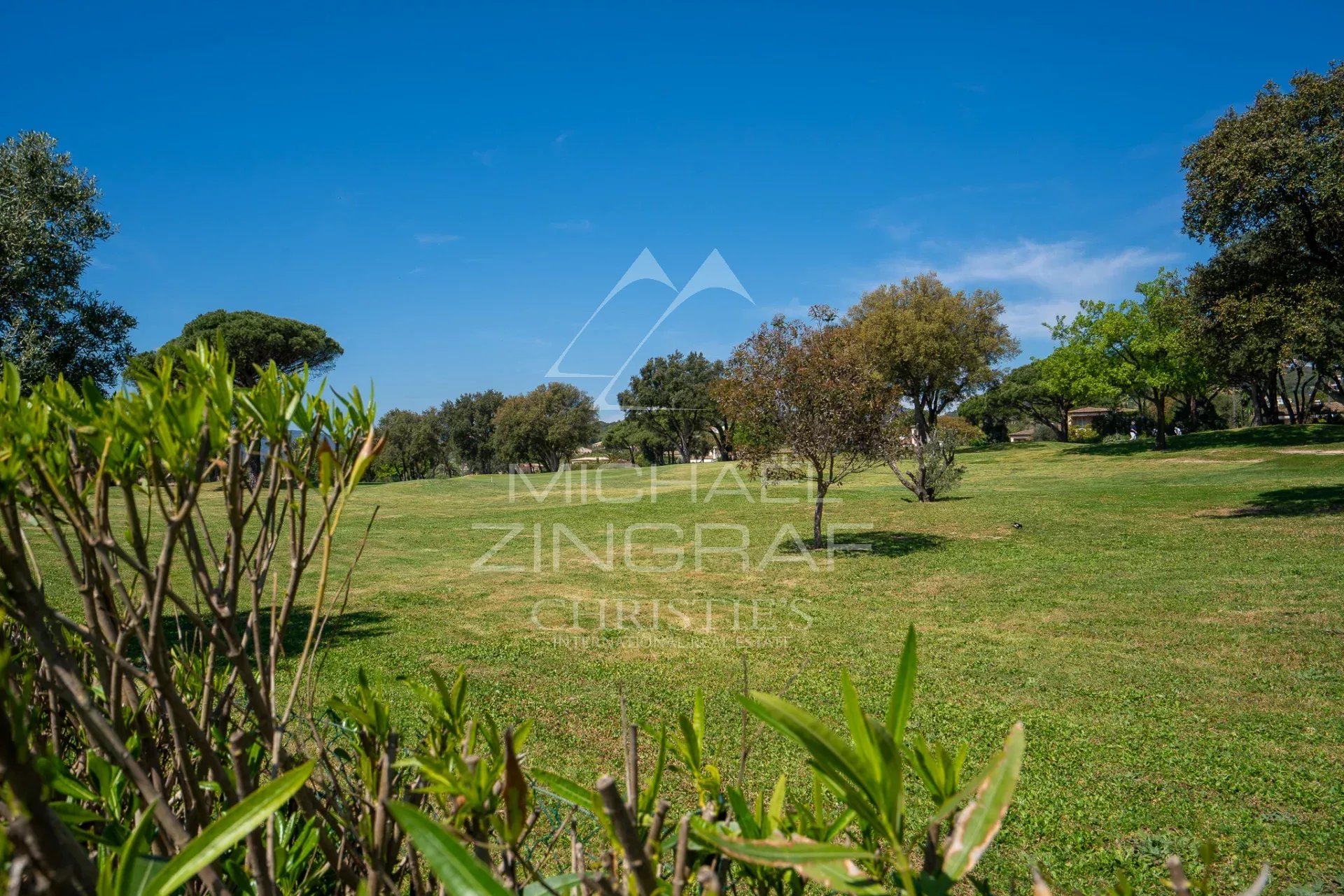 Sunny park with a wide grassy field, scattered trees, and a clear blue sky in the background.