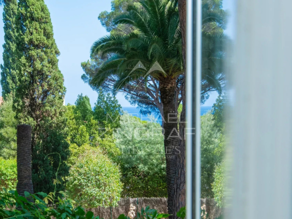 Vue sur un jardin paysager avec des palmiers et des arbres, à proximité de la mer.