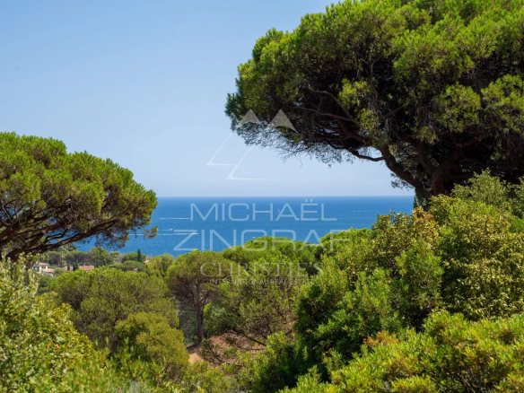 Vue panoramique sur la mer depuis une villa entourée de pins à Sainte-Maxime.