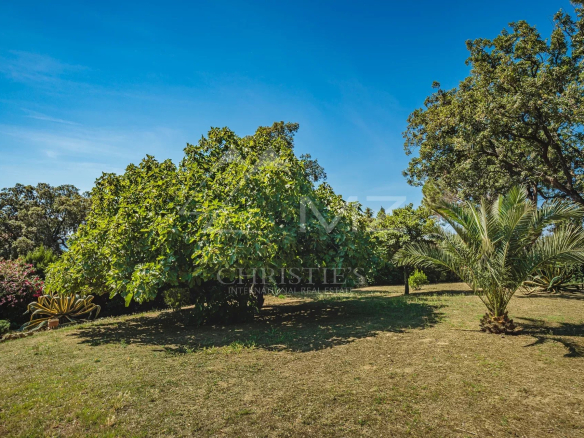 Jardin d'une villa provençale avec arbres et pelouse, à Grimaud.