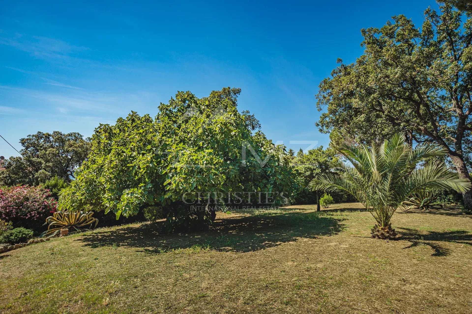 Jardin de villa provençale à Grimaud Jardin d'une villa provençale avec arbres et pelouse, à Grimaud.
