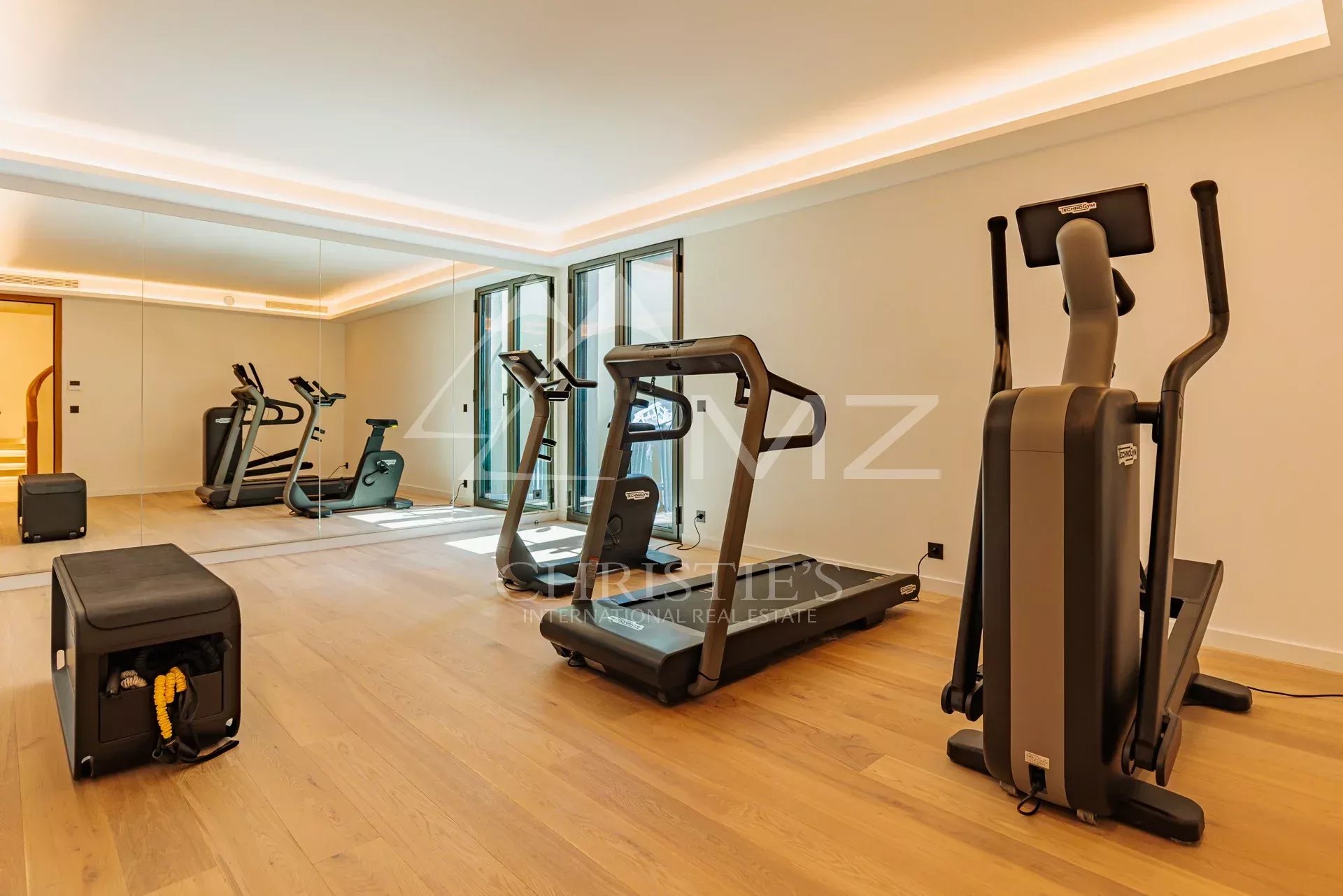 Modern gym with fitness equipment in a villa.