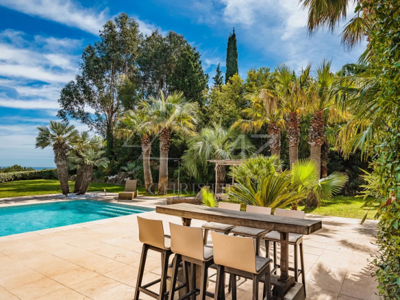 Terrasse avec piscine et palmier dans une villa à Grimaud, Golfe de Saint-Tropez.