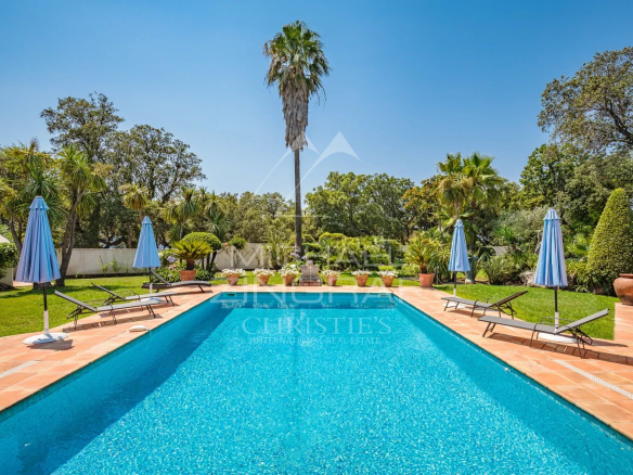 View of a swimming pool surrounded by sun loungers and palm trees in a landscaped garden.