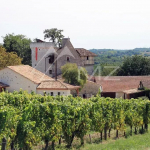 DOMAINE VITICOLE BIODYNAMIE  AOP MONBAZILLAC AOP BERGERAC