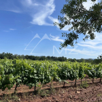 A PRODUCTION TOOL IN THE HEART OF THE GOLDEN TRIANGLE OF COTES DE PROVENCE