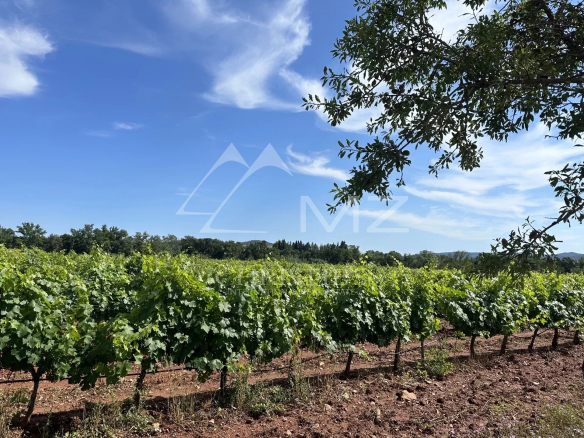 A PRODUCTION TOOL IN THE HEART OF THE GOLDEN TRIANGLE OF COTES DE PROVENCE