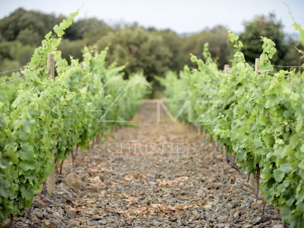 UN DOMAINE VITICOLE EN APPELLATION FAUGÈRES