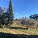 DOMAINE VITI-VINICOLE AU CHARME TOSCAN