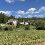 CHARMANT PETIT DOMAINE VITICOLE BIO CONFIDENTIEL