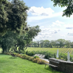 A WINE ESTATE WITH AOP CAP CHARACTER