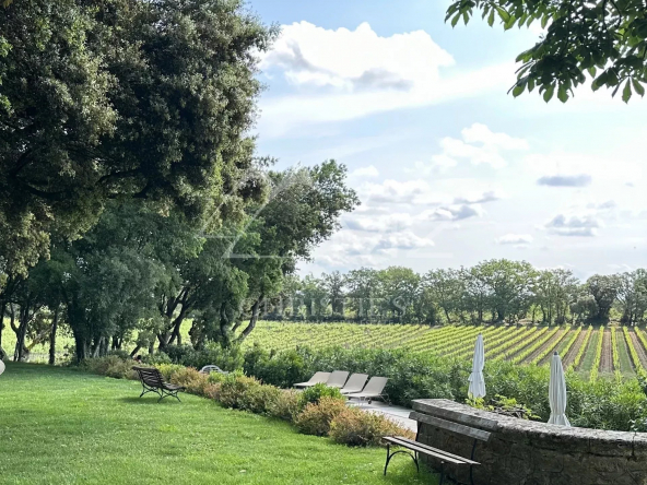 UN DOMAINE VITI-VINICOLE DE CARACTÈRE AOP C.A.P