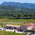 Vallée of Slash- Viti_vinicole