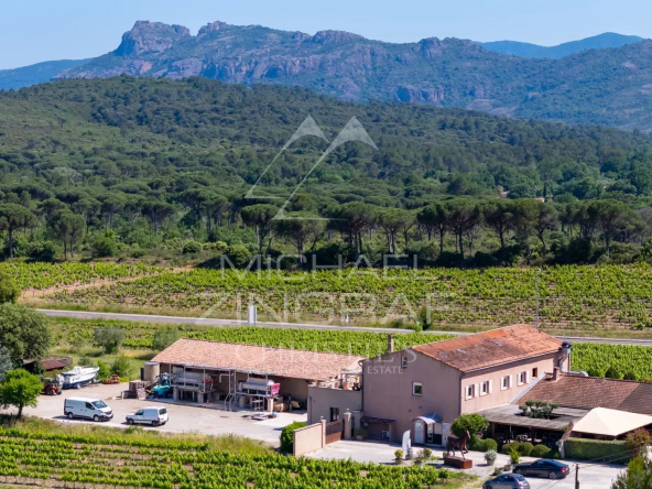 Vallée of Slash- Viti_vinicole