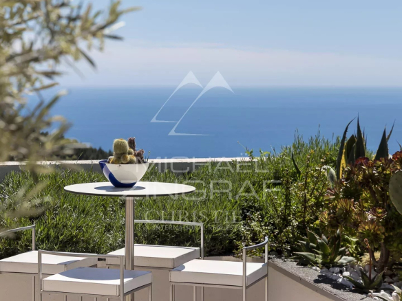 Terrasse d'un appartement à Èze avec vue sur la mer Méditerranée et des plantes.