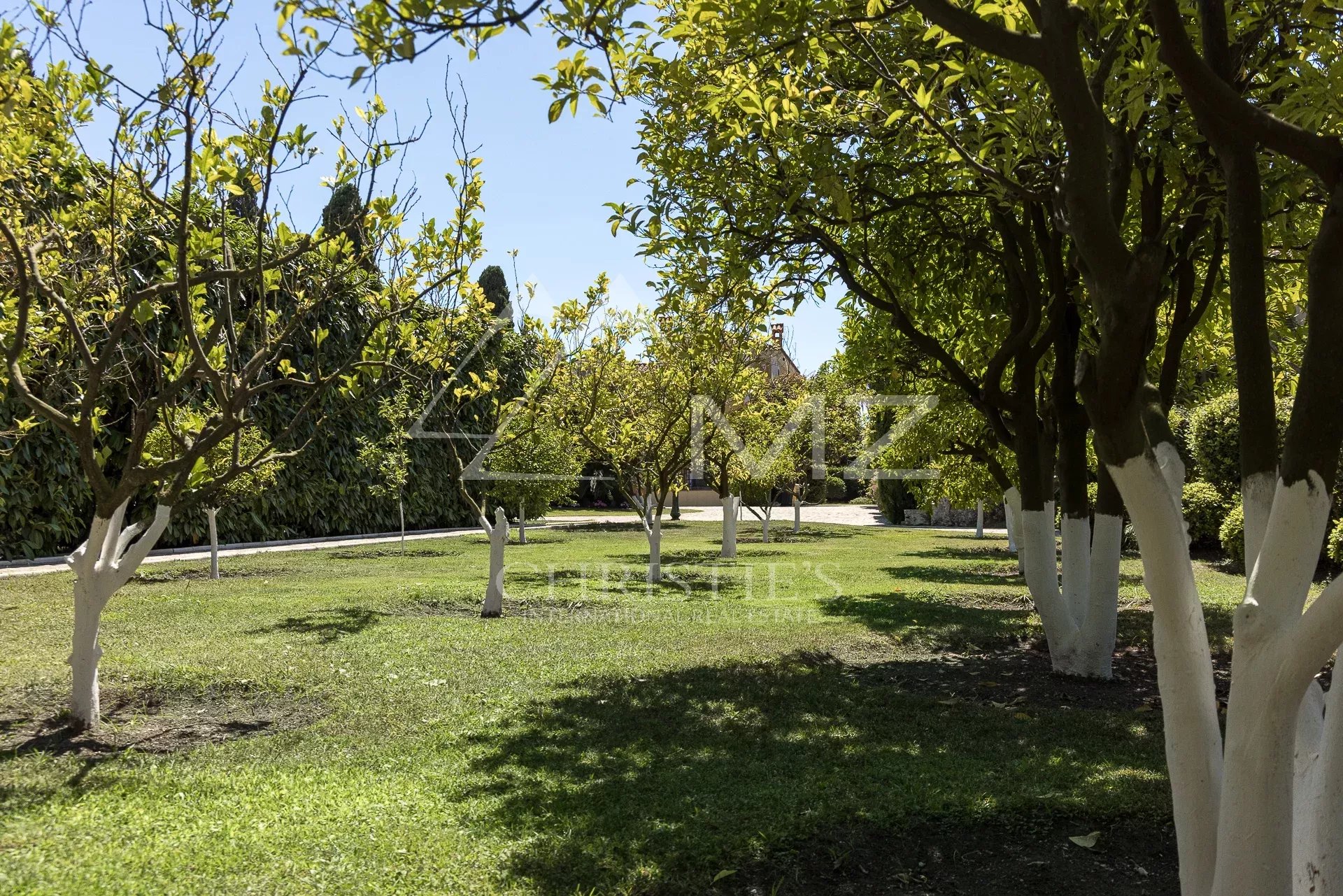 9e89d454521a0dbb54eda4d5e5dbb086_566351aeec_1920-original