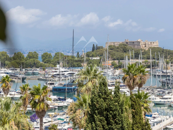 Unobstructed view of the port of Antibes with boats and palm trees in the foreground.