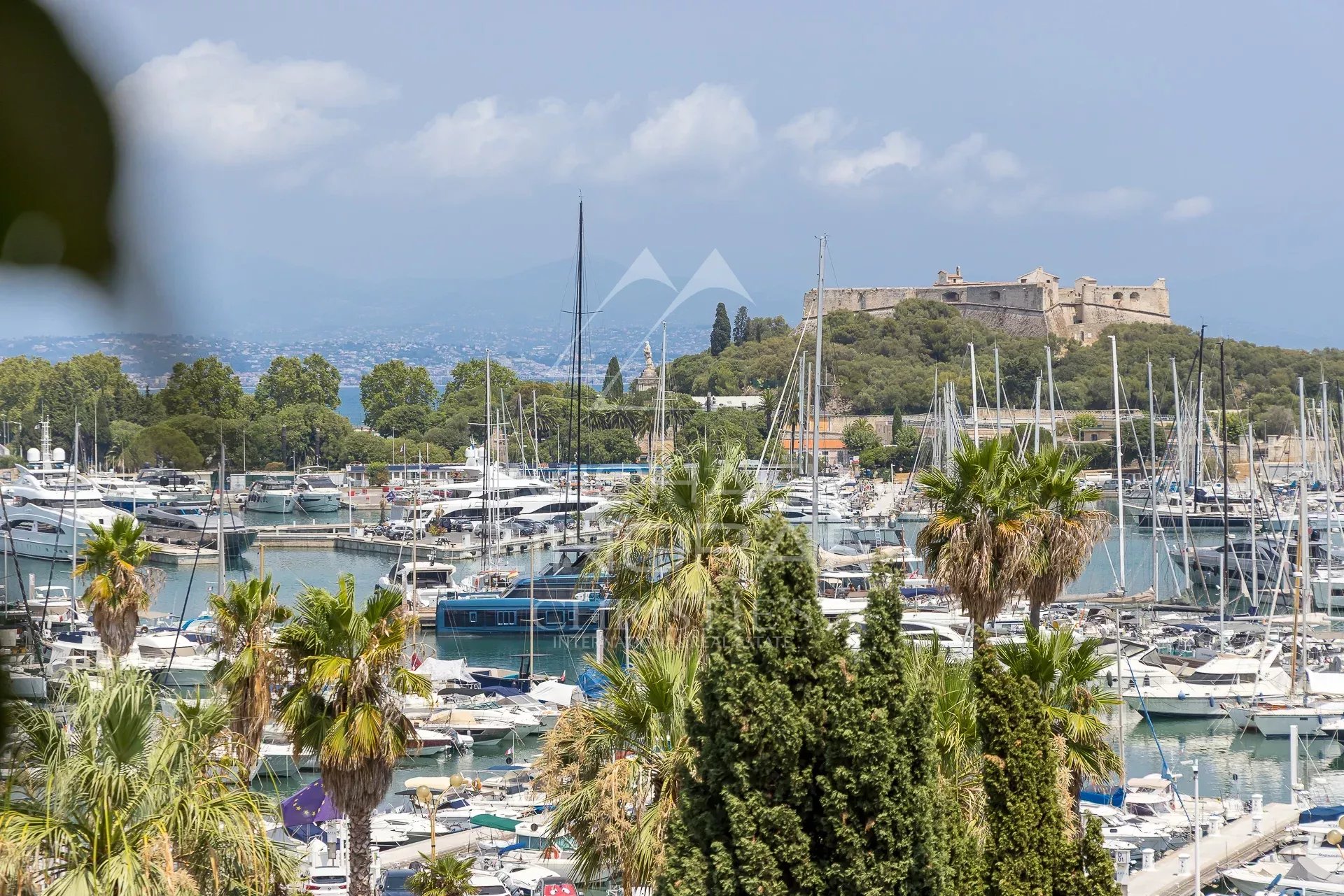 Vue dégagée sur le port d'Antibes avec des bateaux et des palmiers au premier plan.