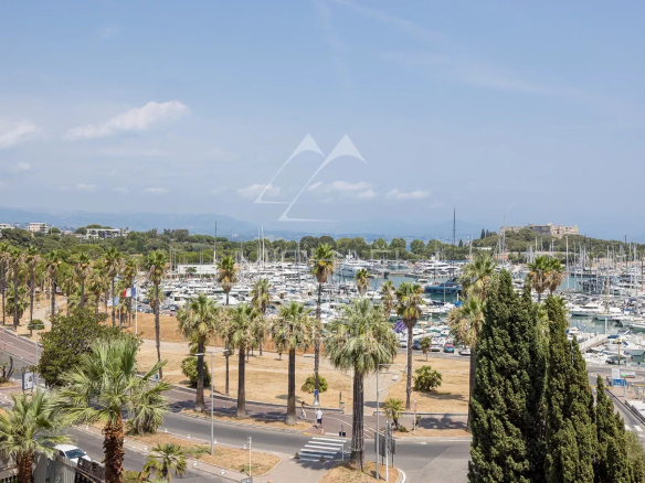 Unobstructed view of the port of Antibes with palm trees and boats.