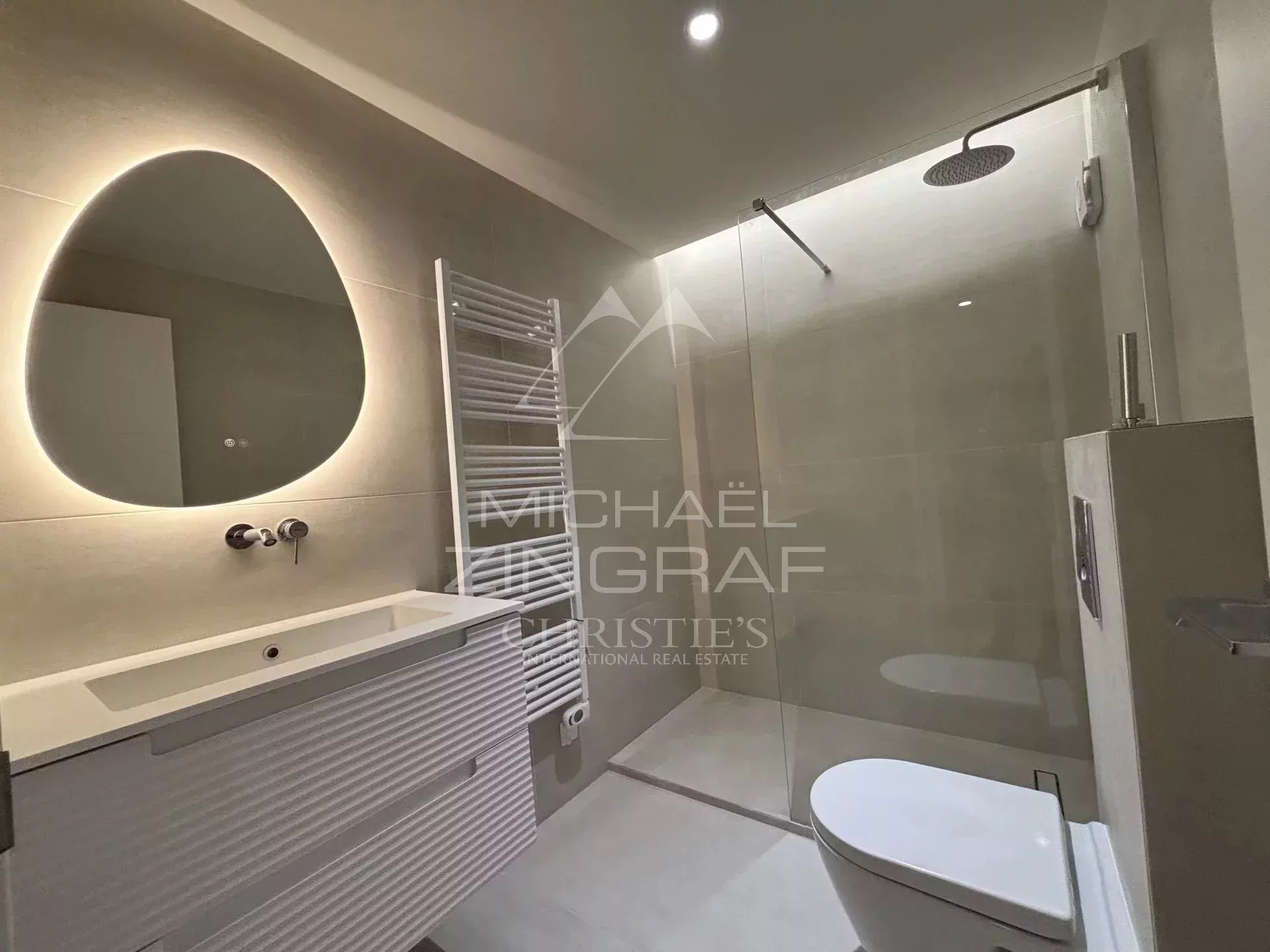 Modern bathroom with walk-in shower and designer sink.