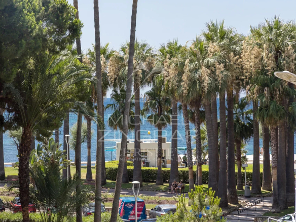 Vue de la mer avec des palmiers sur la Croisette à Cannes.