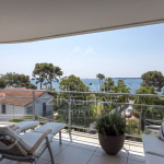 Moure Rouge – deux appartements d’exception